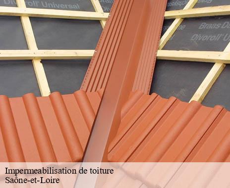 impermeabilisation-de-toiture