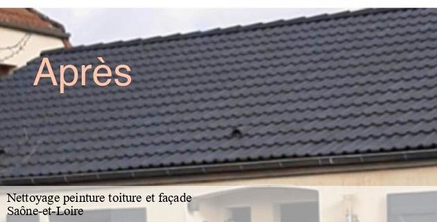 nettoyage-peinture-toiture-et-facade