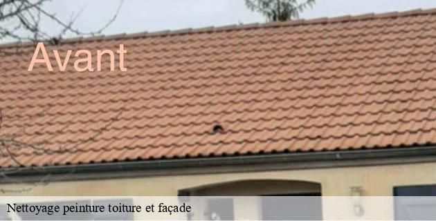 nettoyage-peinture-toiture-et-facade