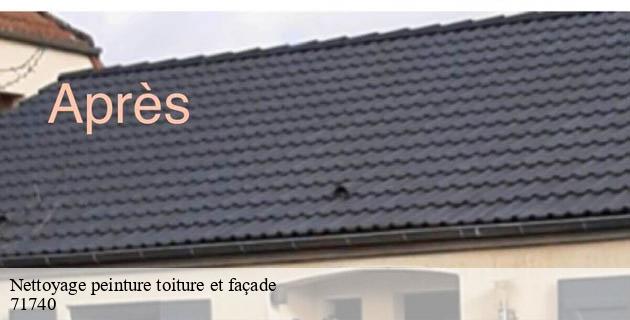 nettoyage-peinture-toiture-et-facade