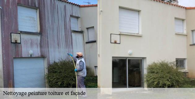 nettoyage-peinture-toiture-et-facade