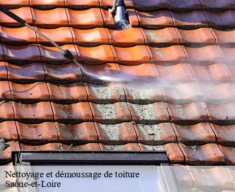 nettoyage-et-demoussage-de-toiture