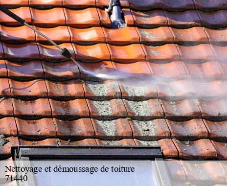 nettoyage-et-demoussage-de-toiture