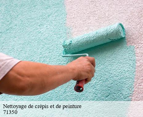 nettoyage-de-crepis-et-de-peinture