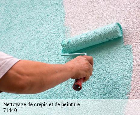 nettoyage-de-crepis-et-de-peinture