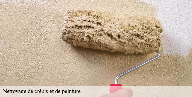 nettoyage-de-crepis-et-de-peinture