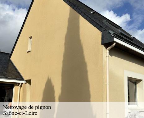 nettoyage-de-pignon