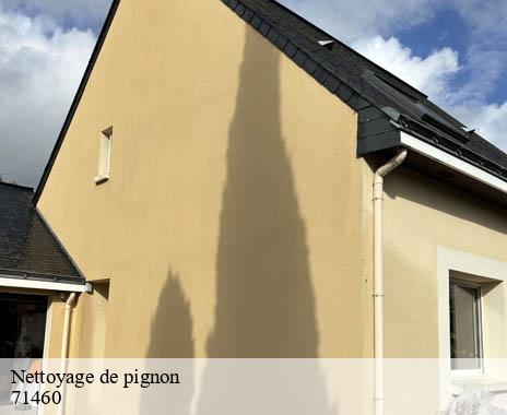 nettoyage-de-pignon